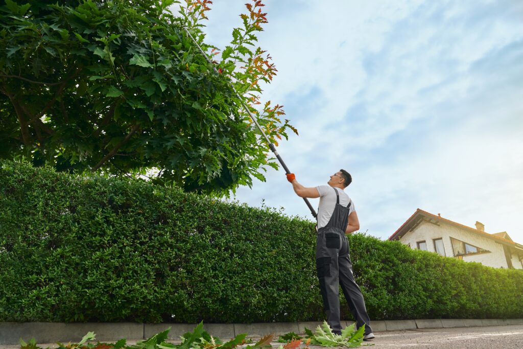 Landscaping professional trimming tree branches during summer maintenance—highlighting the demand for home improvement services, seasonal marketing, and lead generation for local contractors